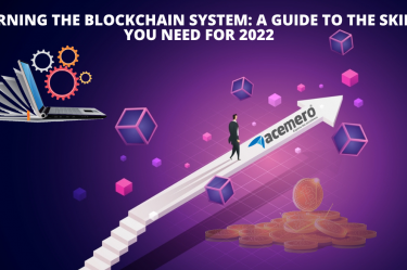 Learning the Blockchain system: A Guide to the Skills You Need for 2022 - Acemero Blog