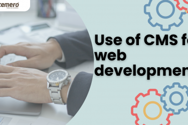 Use of CMS for web development