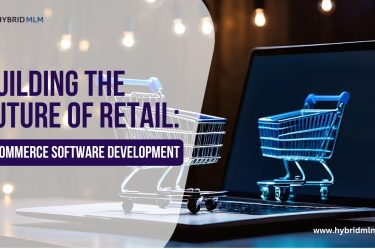 e commerce software development