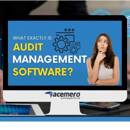 What Exactly is Audit Management Software?